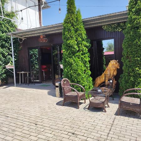 В Гостях На Иссык-Куле Hotel Чолпон-Ата Екстериор снимка